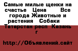 Самые милые щенки на счастье › Цена ­ 1 - Все города Животные и растения » Собаки   . Татарстан респ.,Казань г.